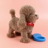 Forge ahead with determination! Brave and resolute electric plush puppy, accompanying you to move forward bravely and resolutely. It can record encouraging words and songs of perseverance, which are brave and cute details Picture